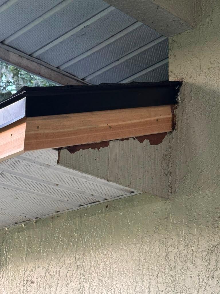 Fascia Board Replacement & Eave Return Rebuild