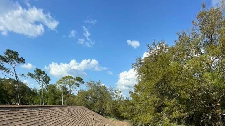 Architectural Shingle System & Ridge Ventilation