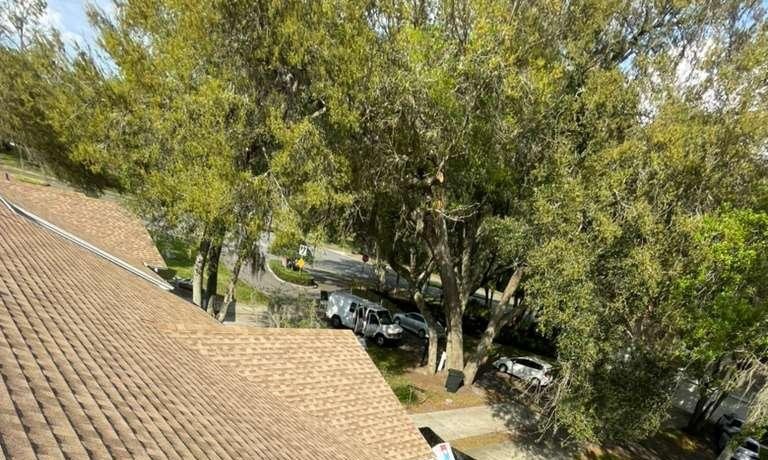 Architectural Shingle System & Ridge Ventilation